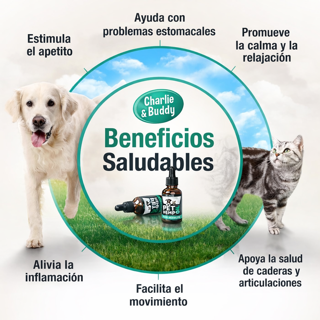 🐾 Fórmula Calm & Shine premium 30 Días: PET HEMP OIL