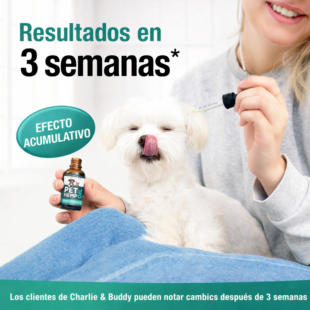 🐾 Fórmula Calm & Shine premium 30 Días: PET HEMP OIL