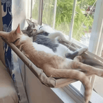 AeroCat™: Su propio espacio para tomar el sol y vigilar el vecindario☀️😽