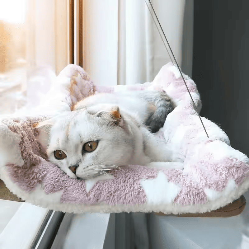 AeroCat™: Su propio espacio para tomar el sol y vigilar el vecindario☀️😽