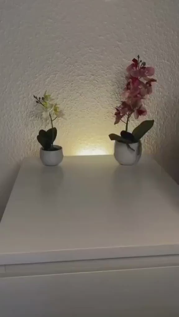 Lo probé y quedé 😱
